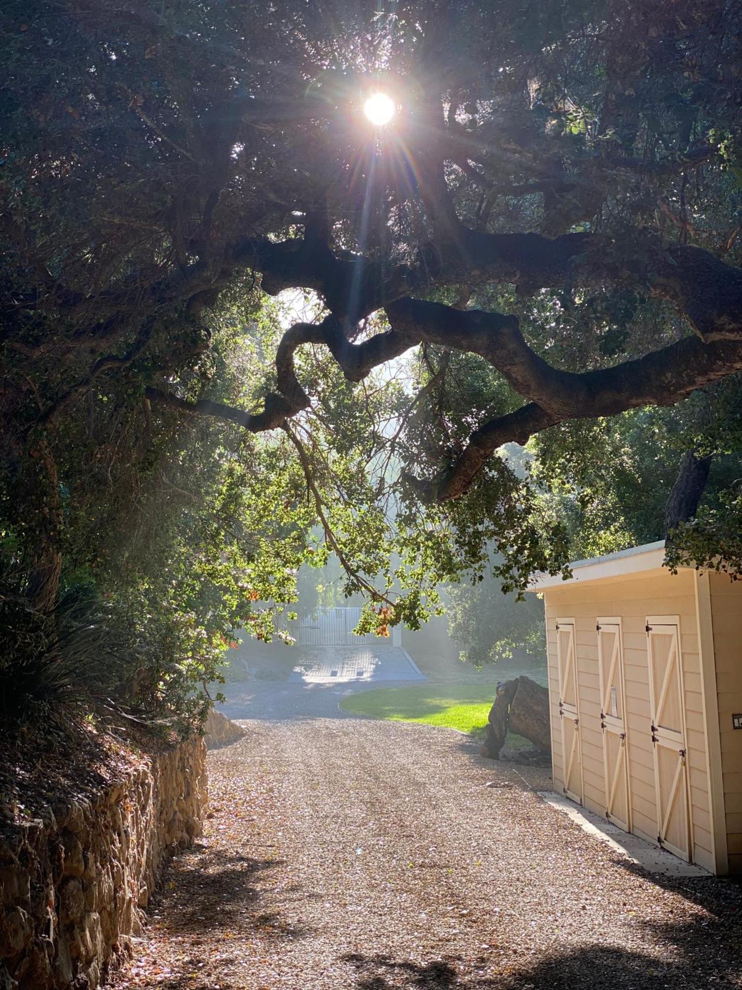 Malibu Ranch Guest House Hideway Экстерьер фото